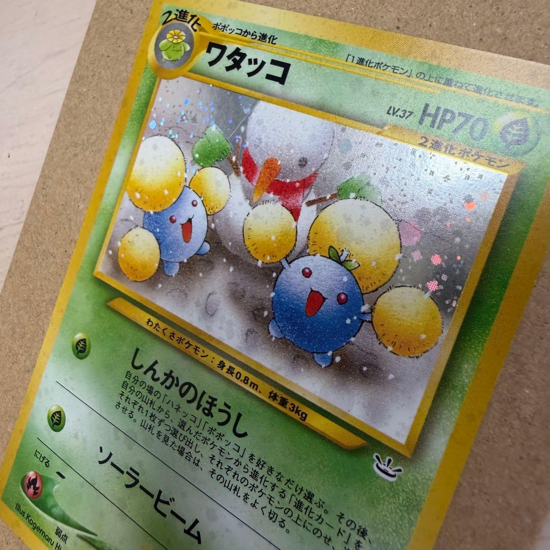 ワタッコ、カメックス、フシギバナ