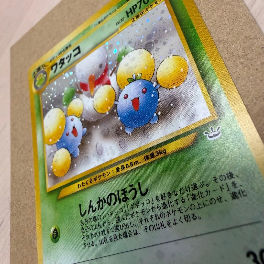 ワタッコ、カメックス、フシギバナ