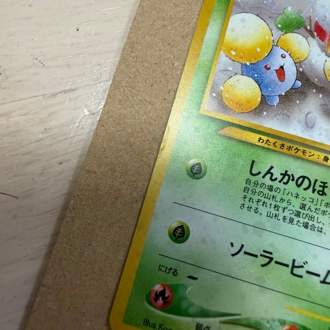 ワタッコ、カメックス、フシギバナ