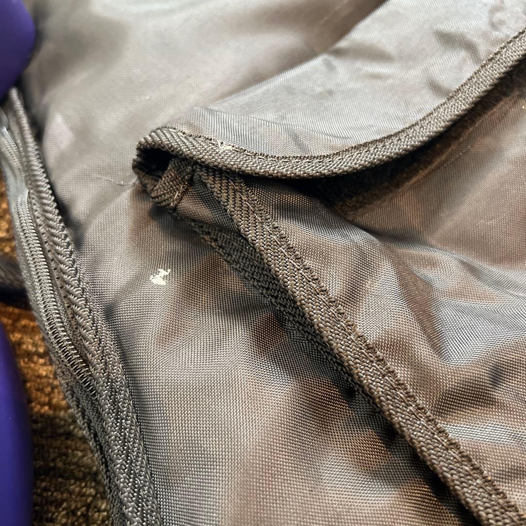 ソフトケース付Grass roots グラスルーツ　イノランモデル　希少　ギター