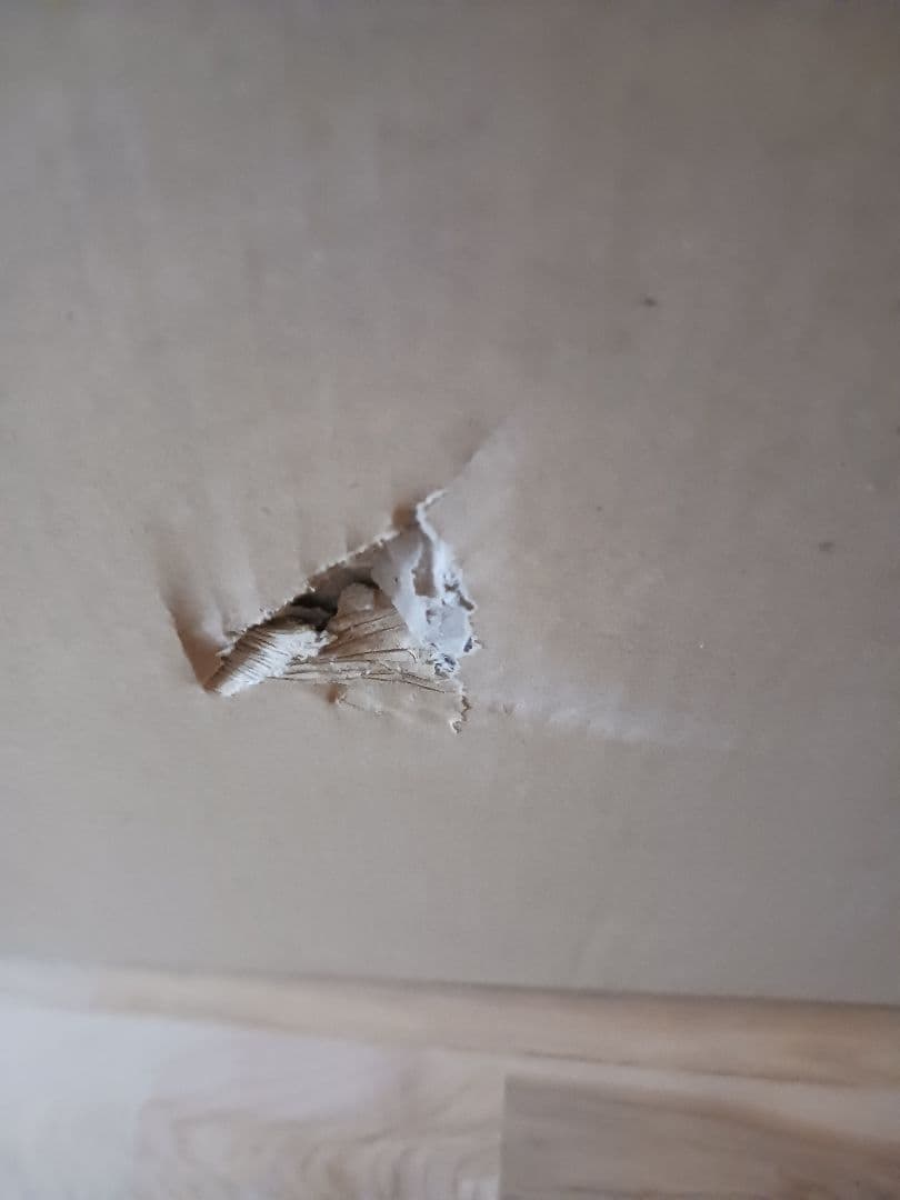 本日am限定値引　外箱ダメージ有　PG ペルフェクティビリティ