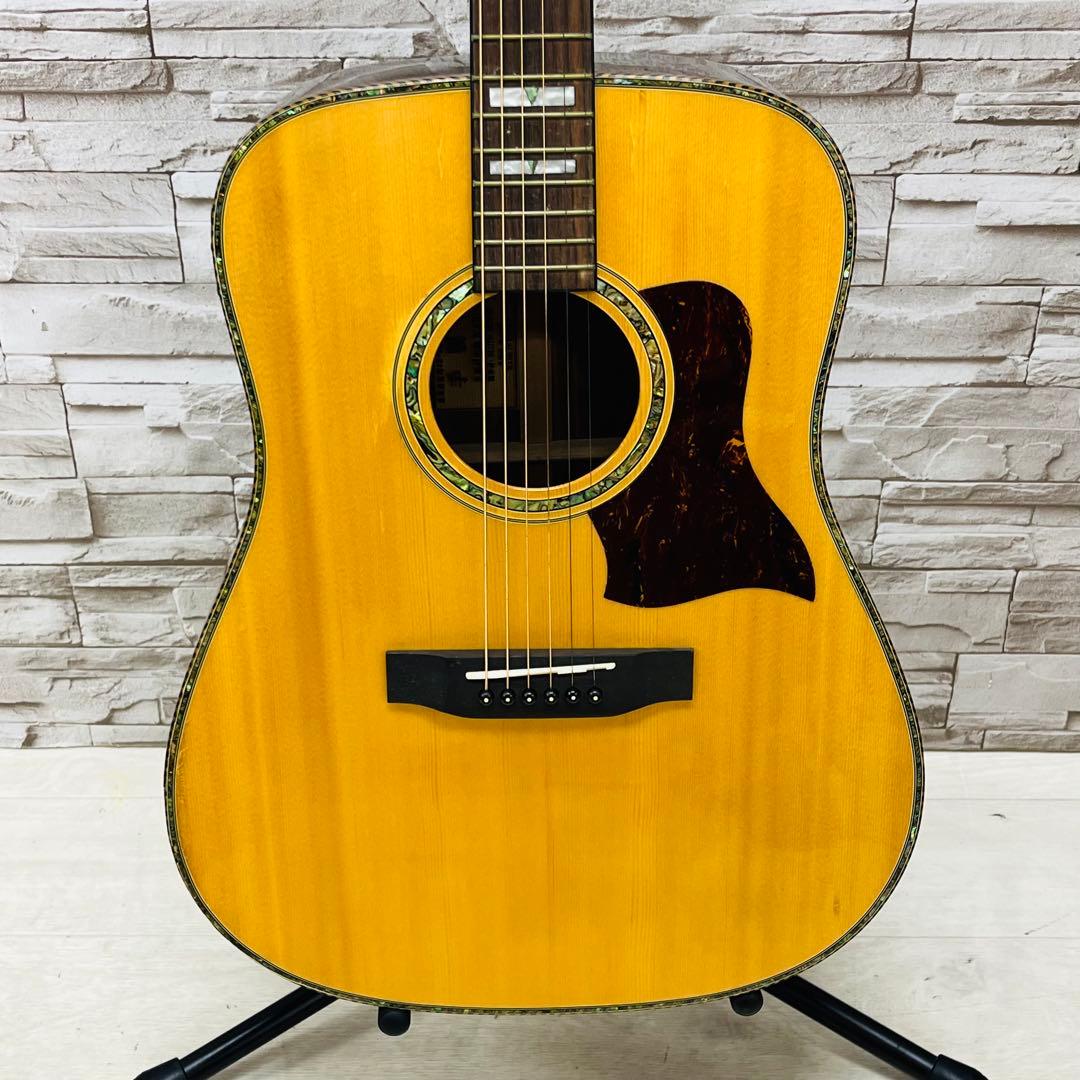 Karis カリス 韓国 SUJIN MUSIC エレアコ