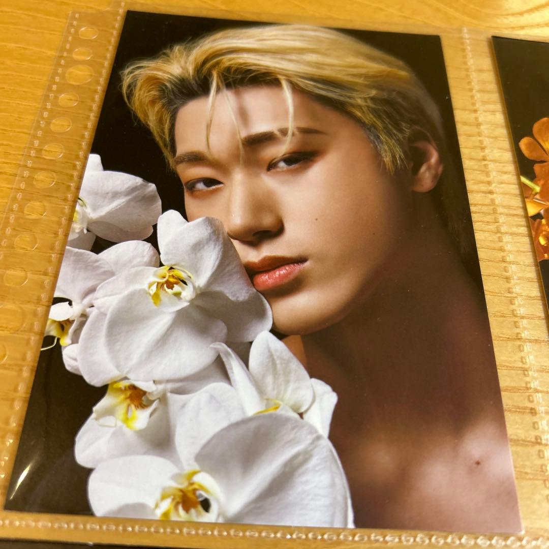 ATEEZ scawaii ポストカード コンプ 8枚セット