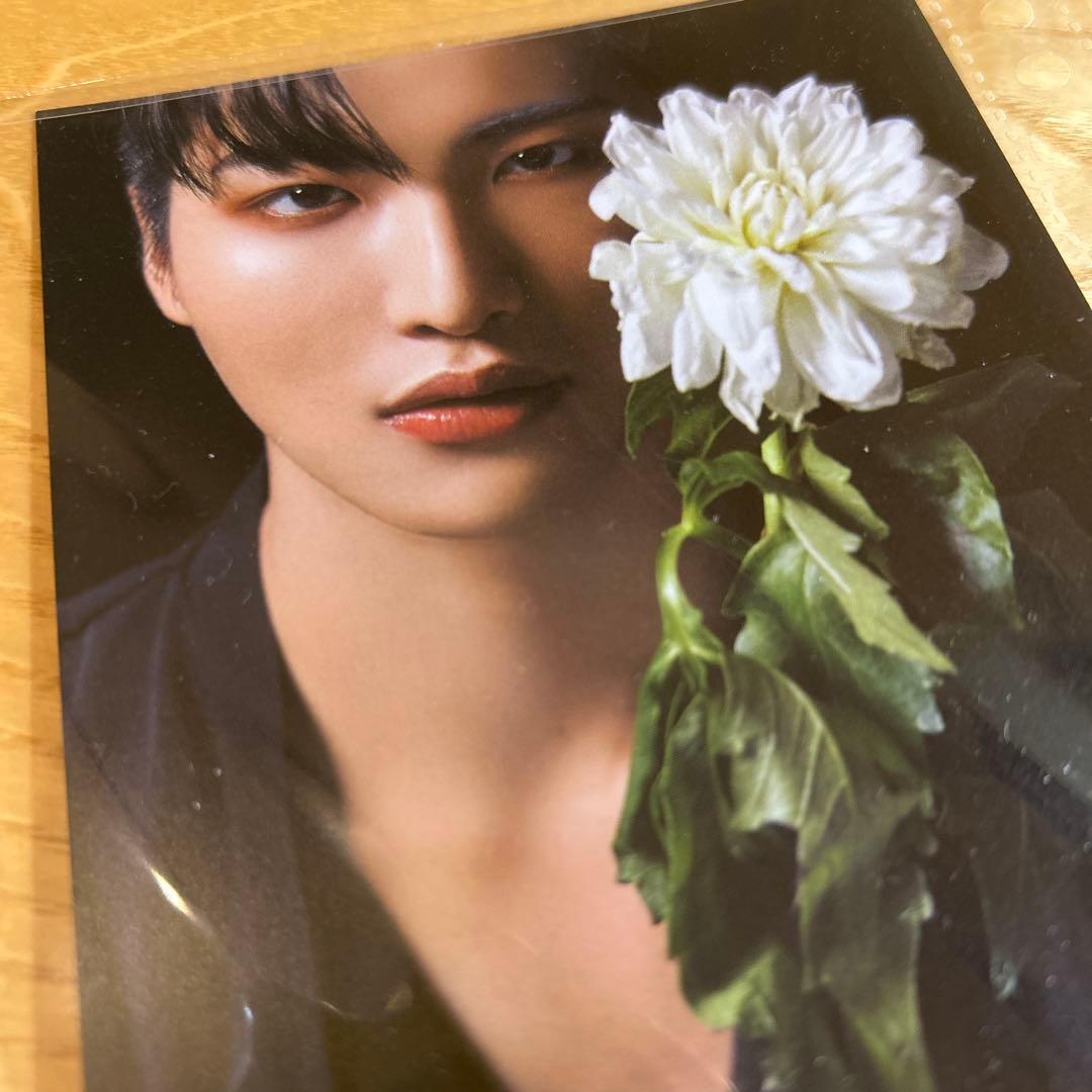 ATEEZ scawaii ポストカード コンプ 8枚セット