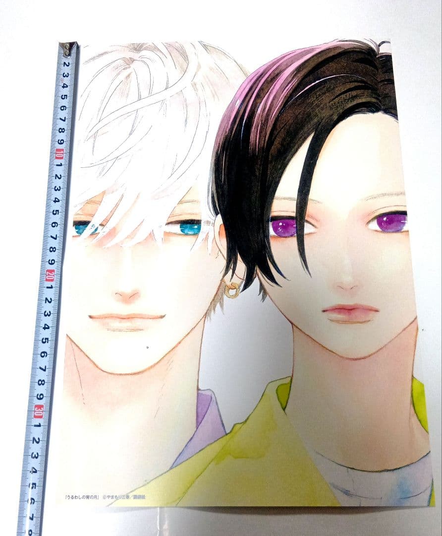 うるわしの宵の月　非売品　販促　B4 複製イラストポスター　2枚セット