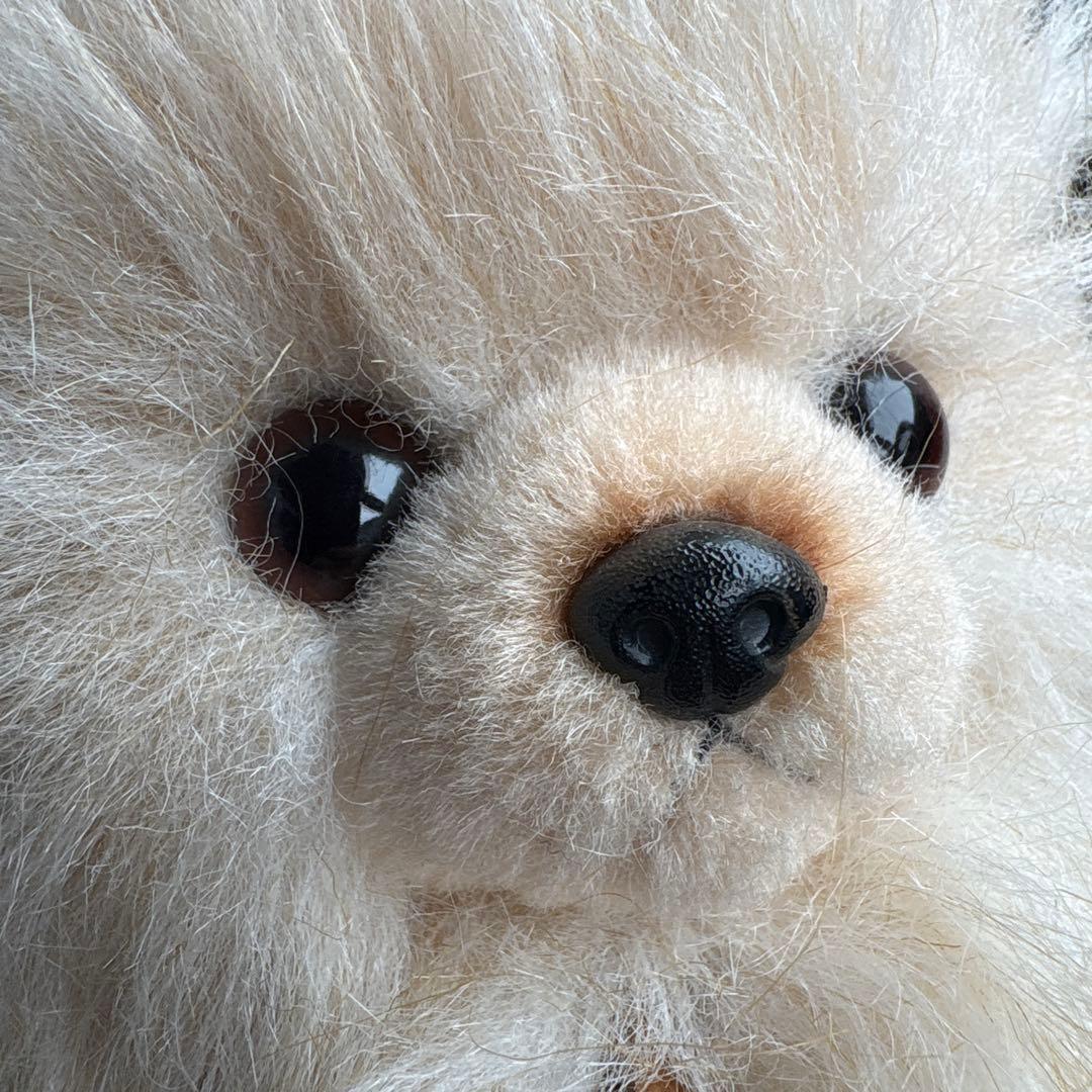 ぬいぐるみの三英　グレイスフル　イヌ　ポメラニアン　リアルなぬいぐるみ　タグ付き