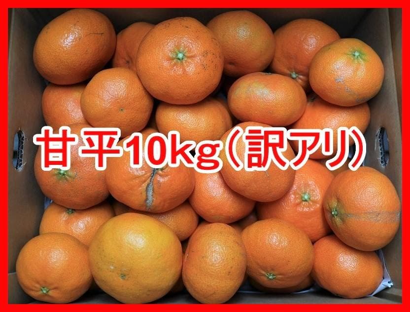 甘平　約10kg　訳あり　しまなみ海道産