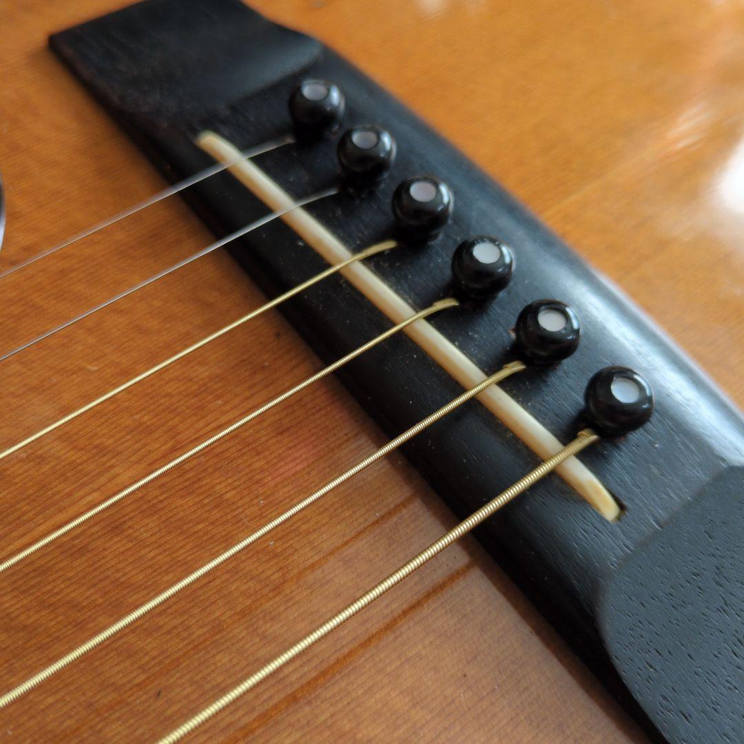 MORRIS モーリス W-35 寺田楽器 アコースティックギター