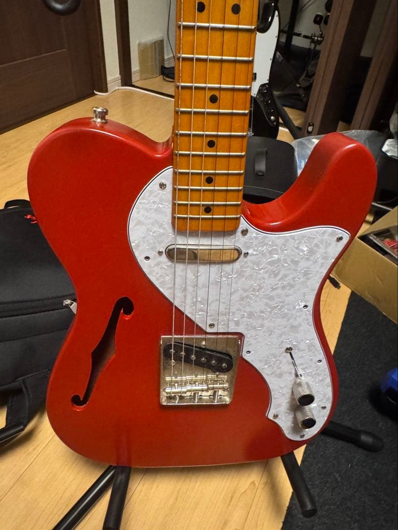 telecaster thinline テレキャスター ムツムロアキラカラー