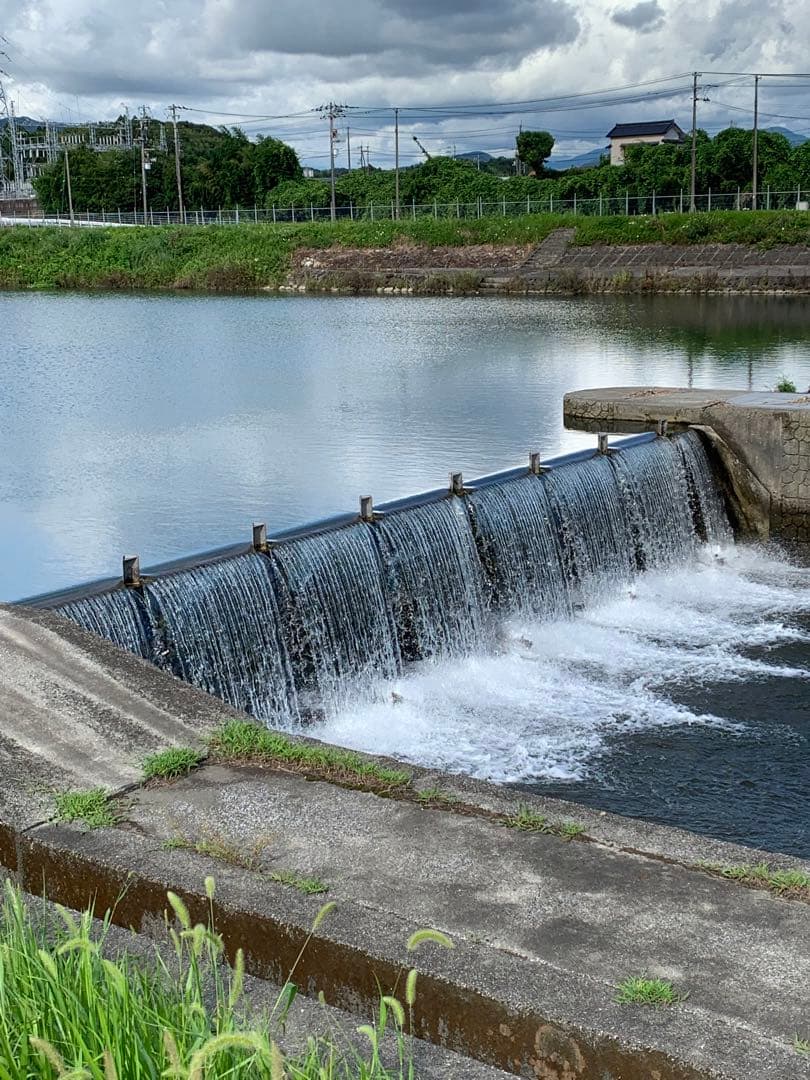 高食味❗️令和7年度 我が家低農薬栽培 高知コシヒカリ玄米20kg(10kgx2)