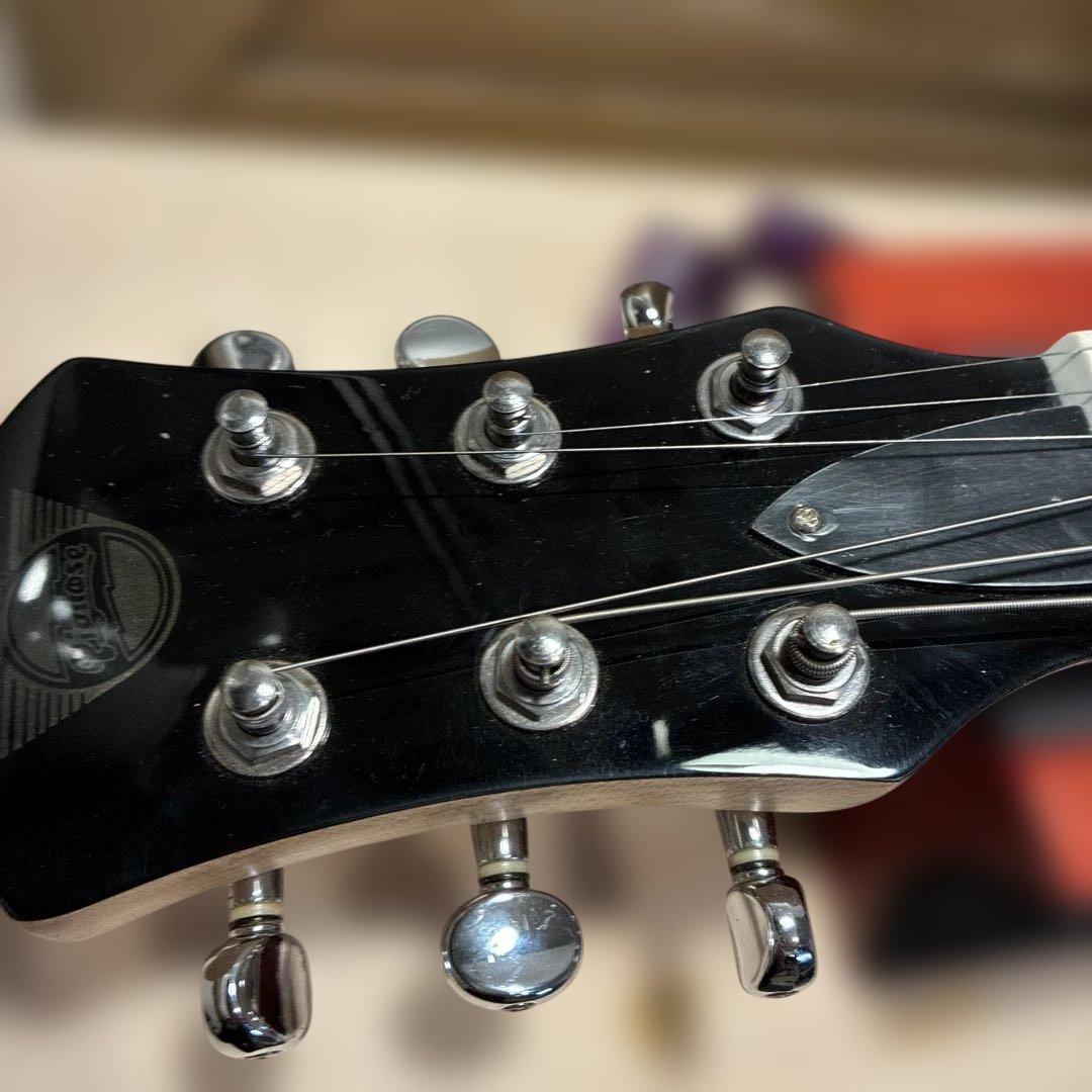 ピグノーズPGG200 ブラック