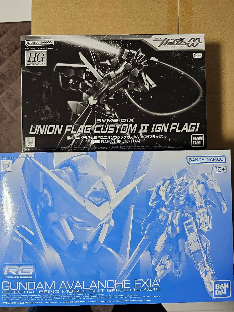 HG ユニオンフラッグカスタムII & RG アヴァランチエクシア