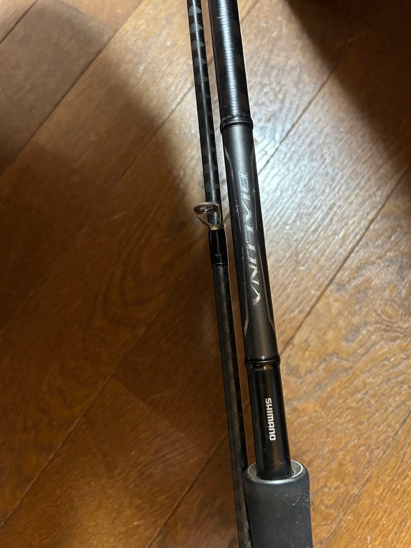 ディアルーナ　S100ML