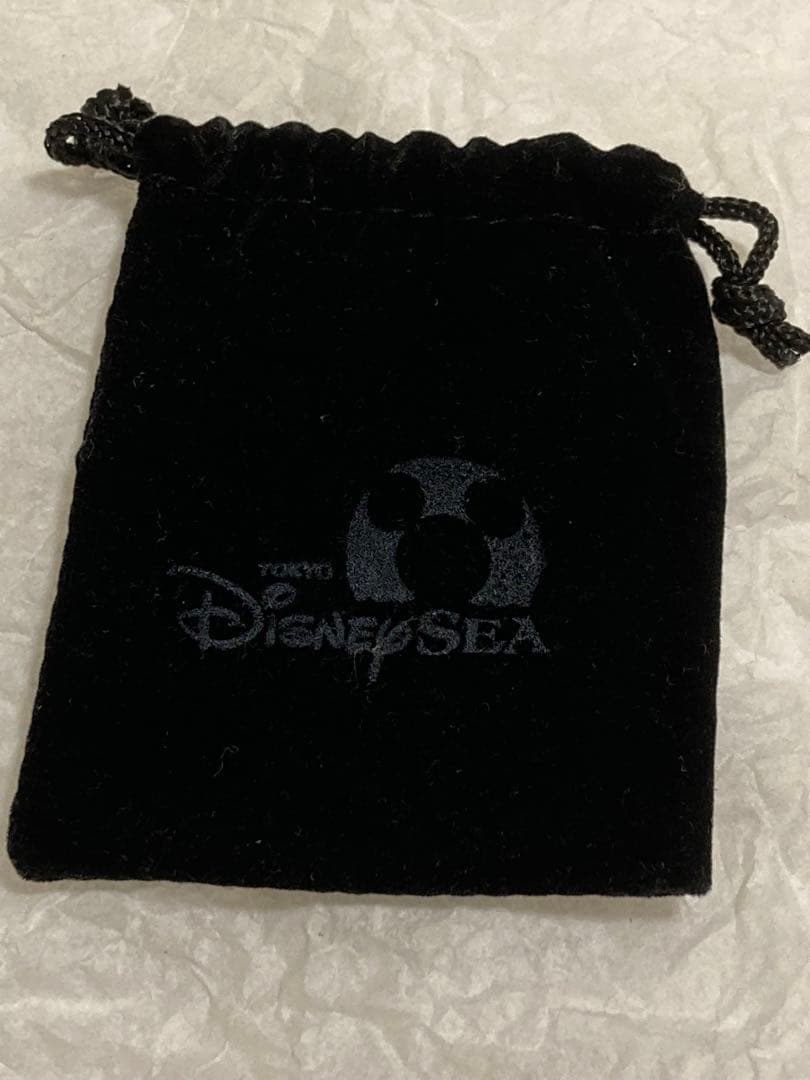 レア　東京ディズニーシー　オープニング　デート　アナウンスメント　ピンバッジ