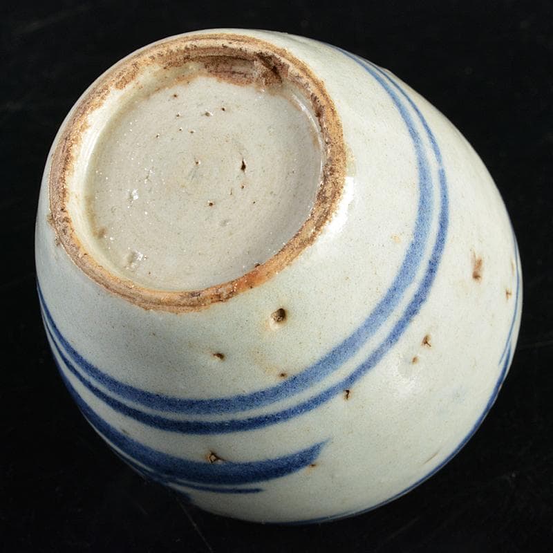 中国　染付　山水文　茶壷　茶心壷　時代箱付　V　R5973