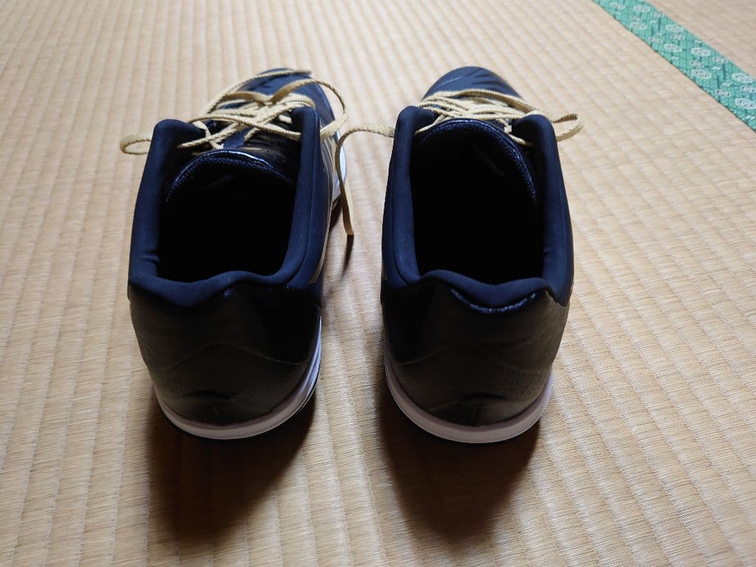 アシックス　ファング 27.5cm