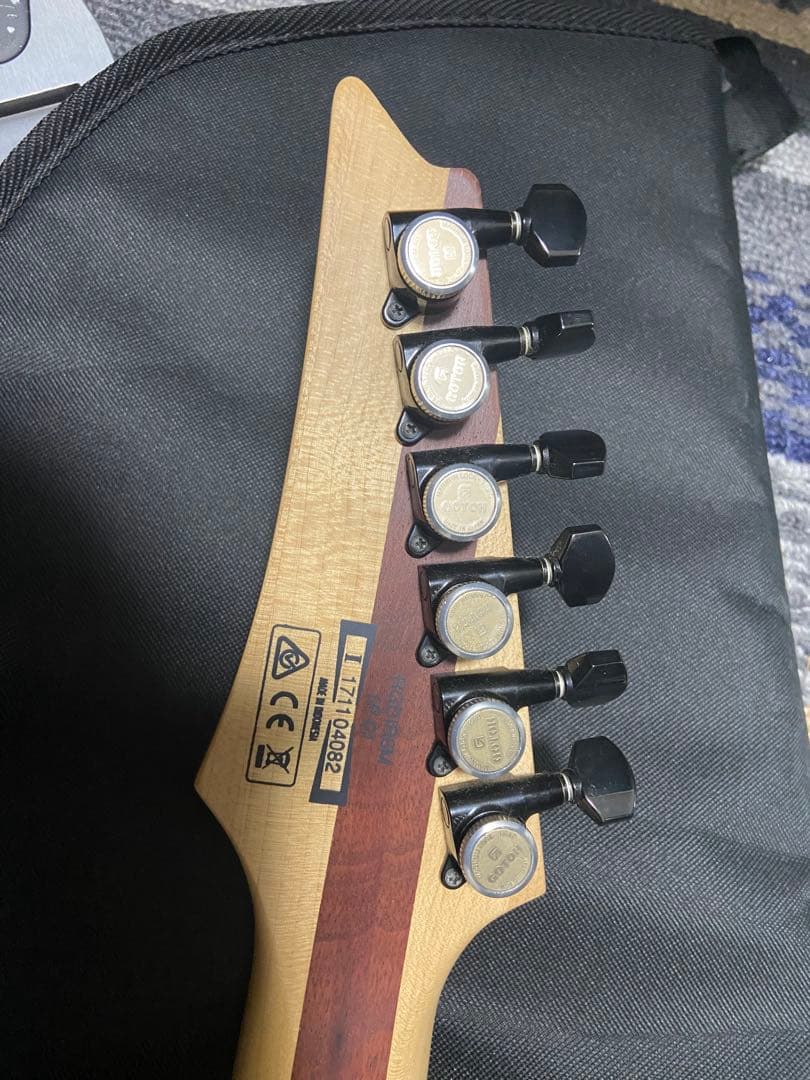 ギター Ibanez / iron label RGDIR6M-LBM