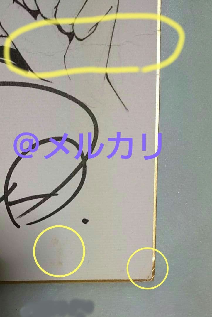 星野架名　直筆イラスト入り　サイン色紙　緑野原学園シリーズ　今西弘樹