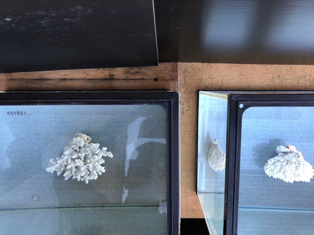 か*ん様 水槽45×30×H36cm 2本