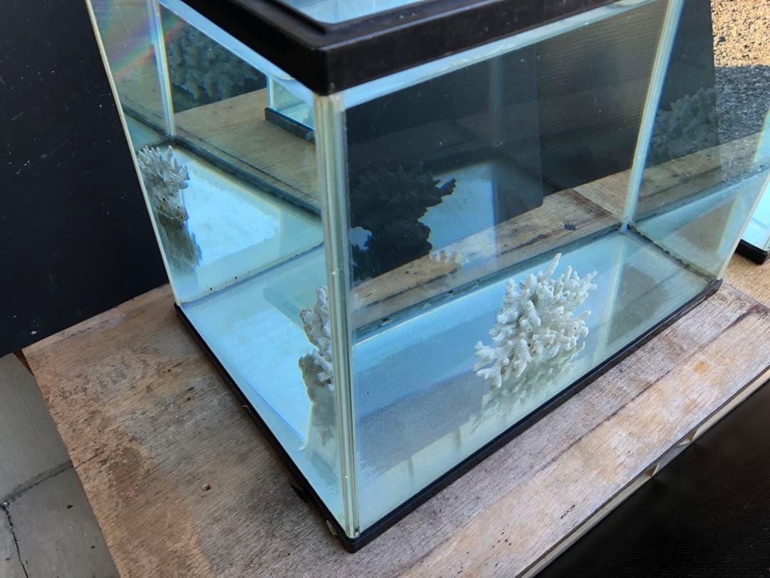 か*ん様 水槽45×30×H36cm 2本