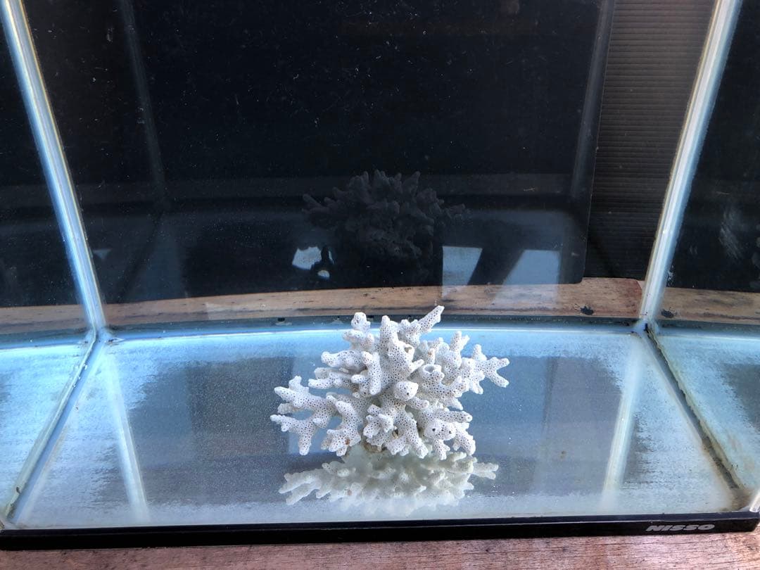 か*ん様 水槽45×30×H36cm 2本