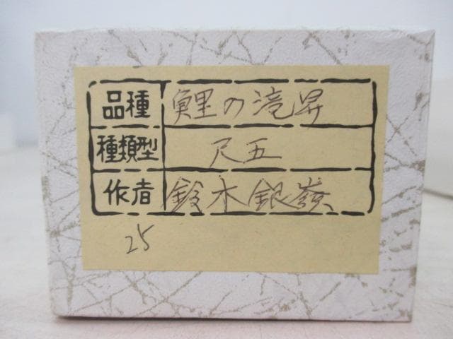 【未使用品】掛軸 鈴木銀嶺『鯉の滝昇』日本画 紙本 箱付 掛け軸 L01409