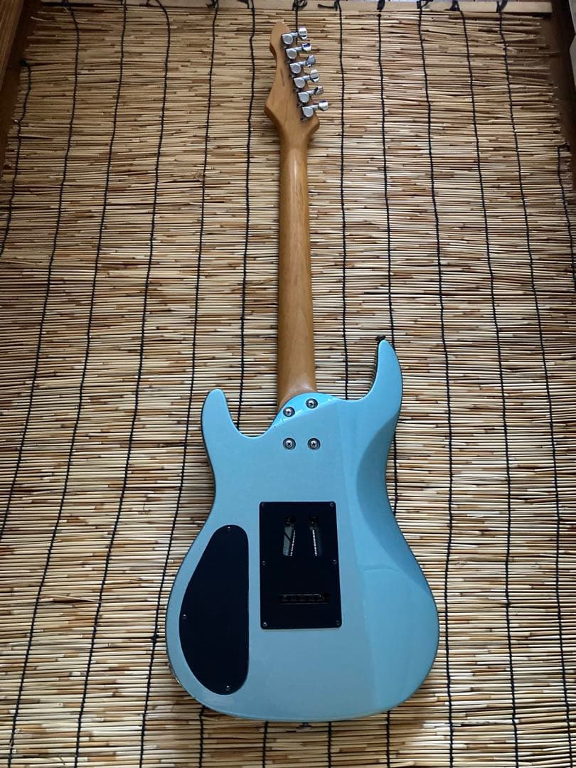 ☆どんきた☆ モディファイして新機能満載 AriaProII SSH ST