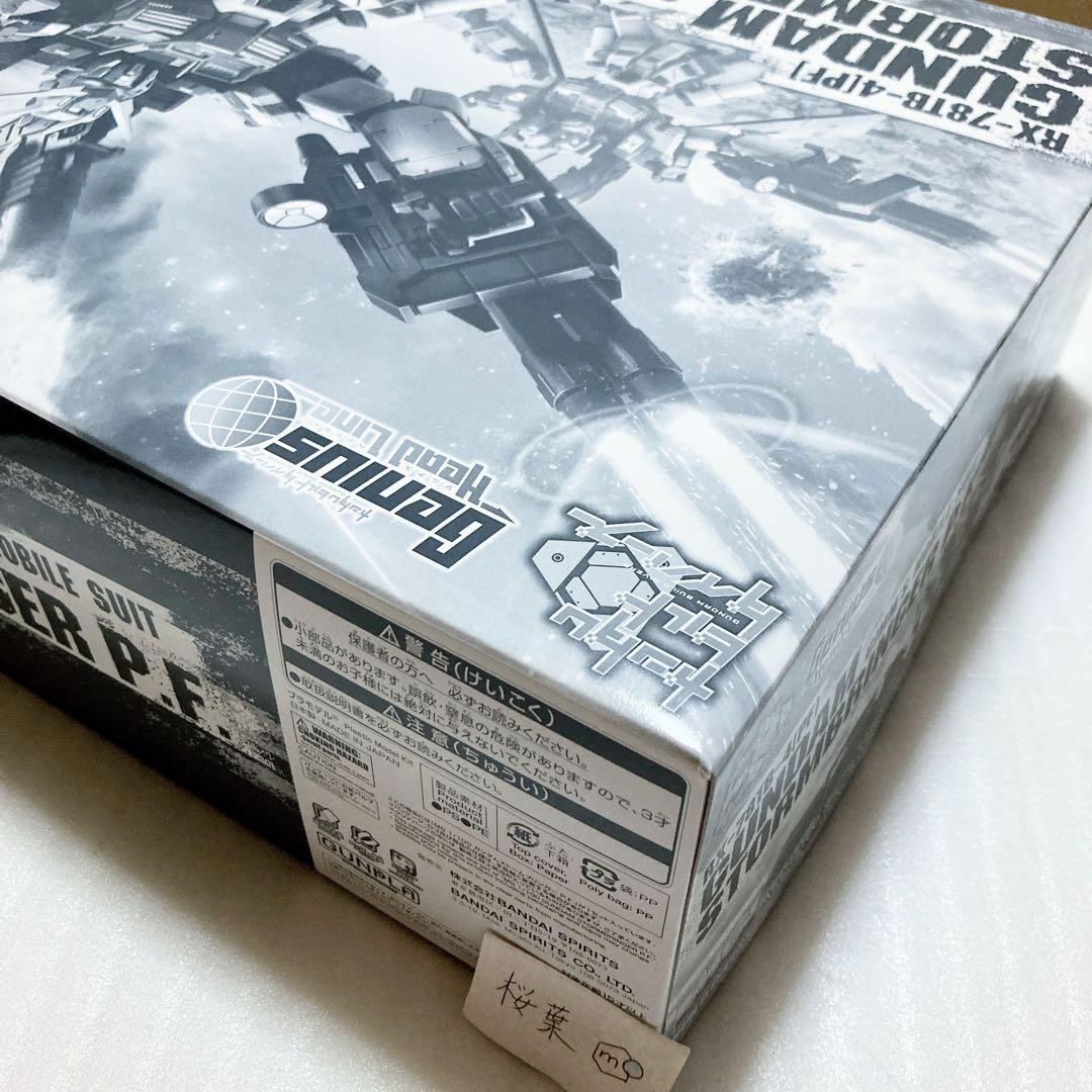 ガンプラ mg ガンダムストームブリンガー Ｐ.Ｆ. 新品　未組立　内袋未開封