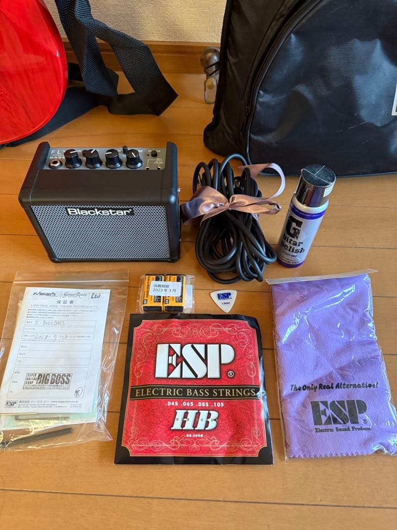 Edwards E-buzz bass ラルク tetsuyaモデル