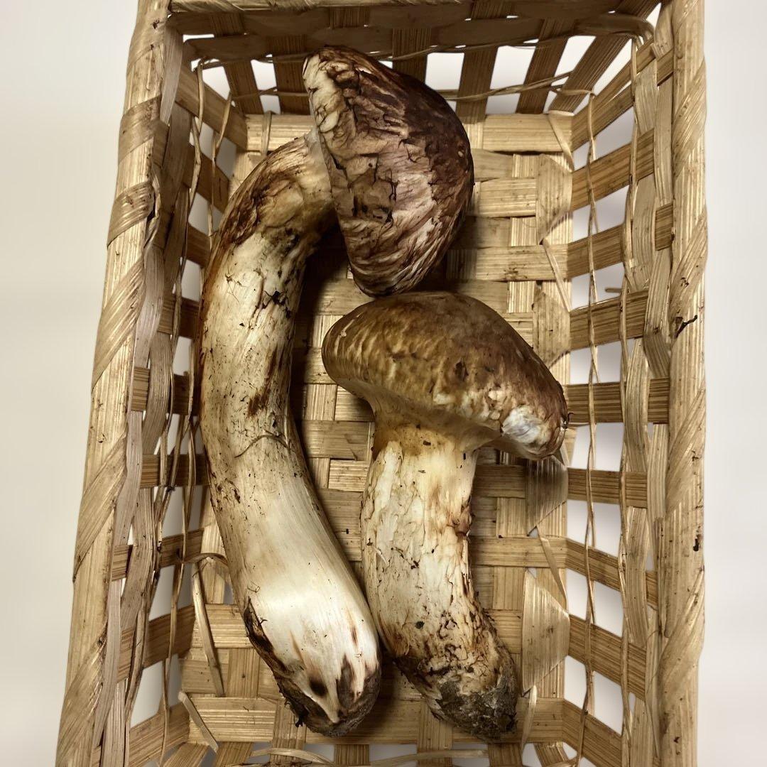 岩手県産松茸　１７２g