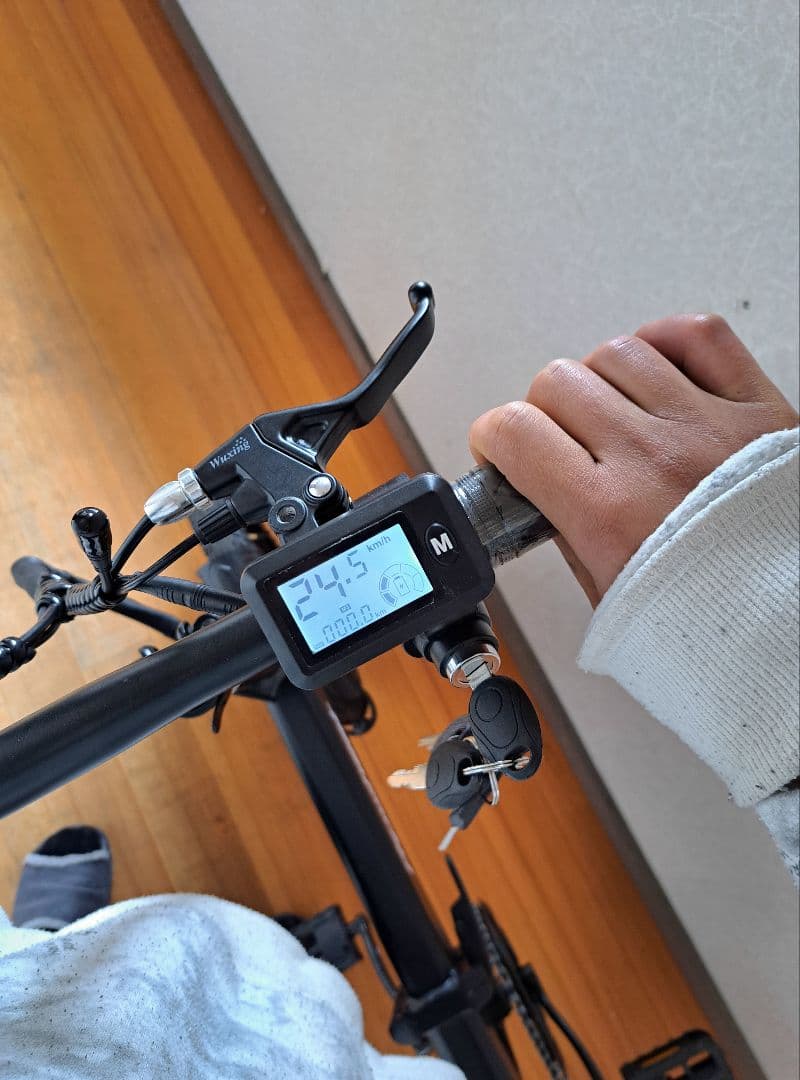 Ripwheat 電動アシスト自転車 ブラック