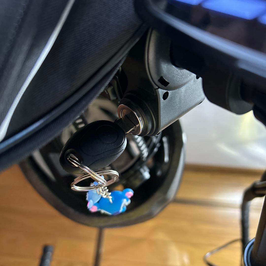 RICH BIT 電動アシスト自転車 折りたたみ式 黒