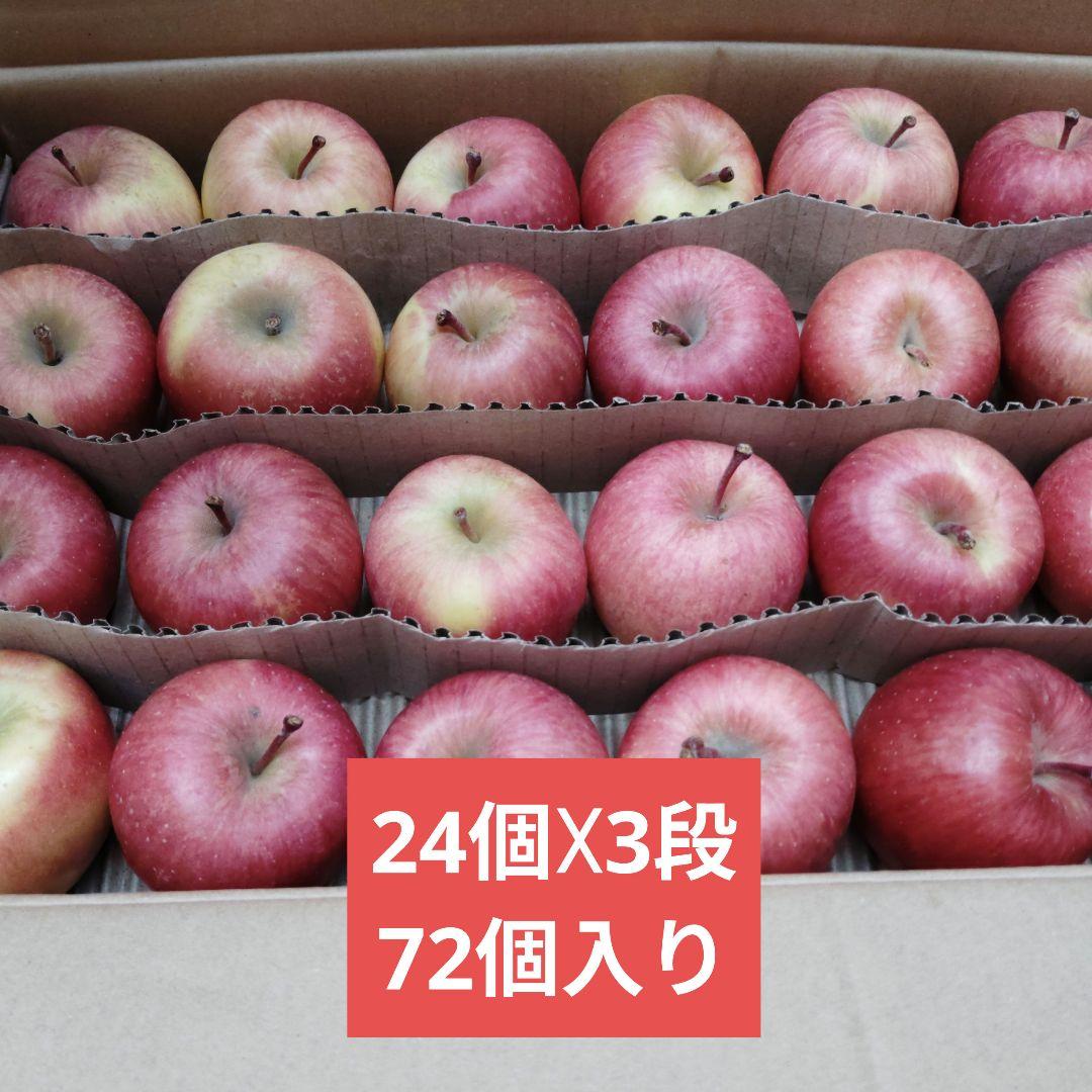 専用みぃ様　青森県産 高徳りんご 小玉72個入り9.5kg