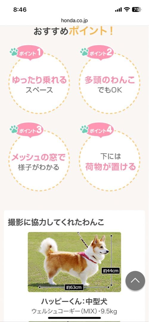 HONDA DOG ペットシートサークル 【新品未使用】