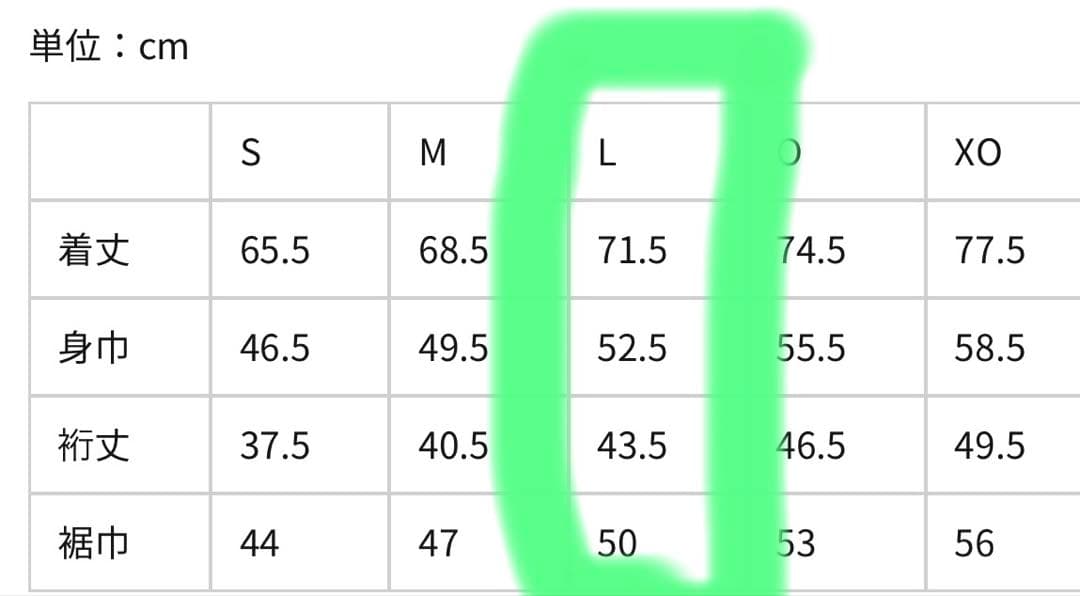 【新品タグ付】選手着用モデル 東京ヴェルディ プラクティスシャツ Ｌサイズ