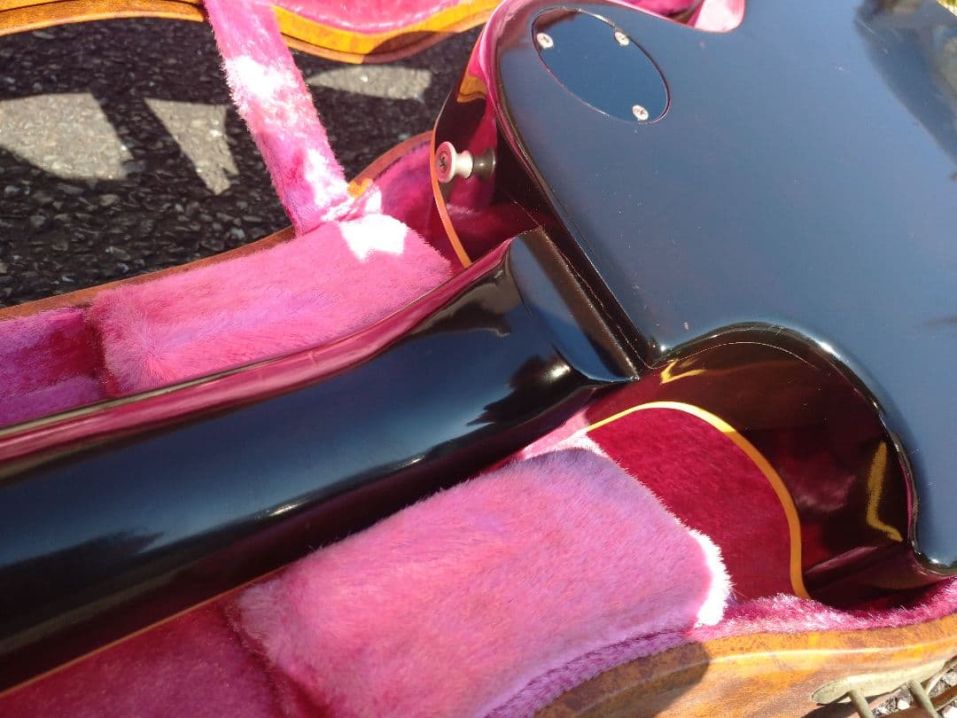 超貴重 1980年 TOKAI LS 上位機種 ワイルドフレイム 最終価格