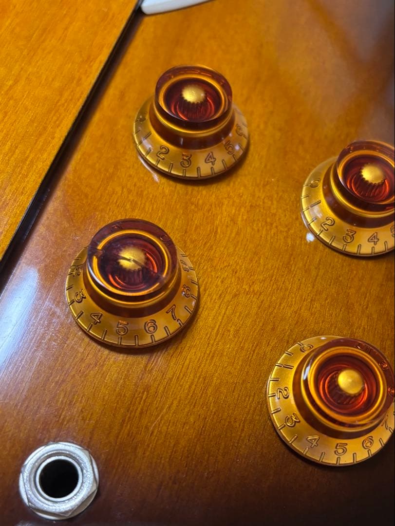 Epiphone Fire Bird 1998年モデル2001年製ソフトケース付