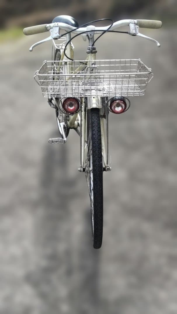 ブリヂストン ユーラシア ミキスト ランドナー 自転車