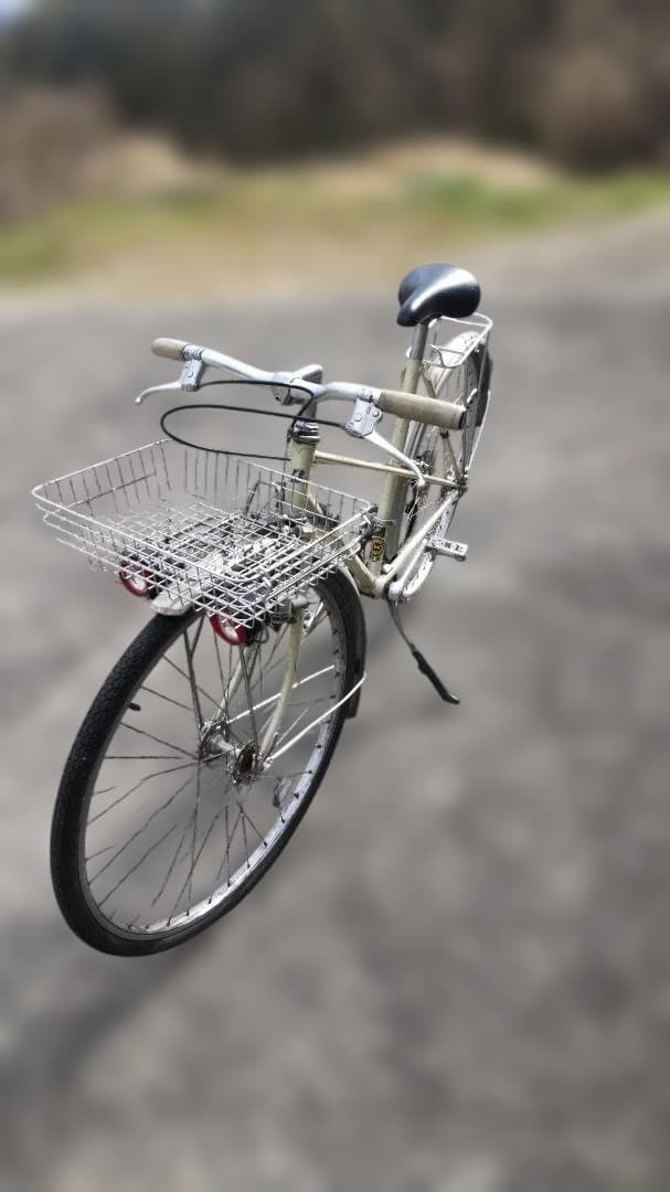 ブリヂストン ユーラシア ミキスト ランドナー 自転車