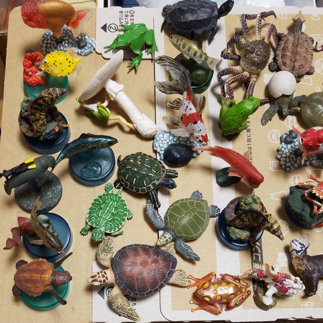 海洋堂　ネイチャーテクニカラー　yujin 大量まとめ