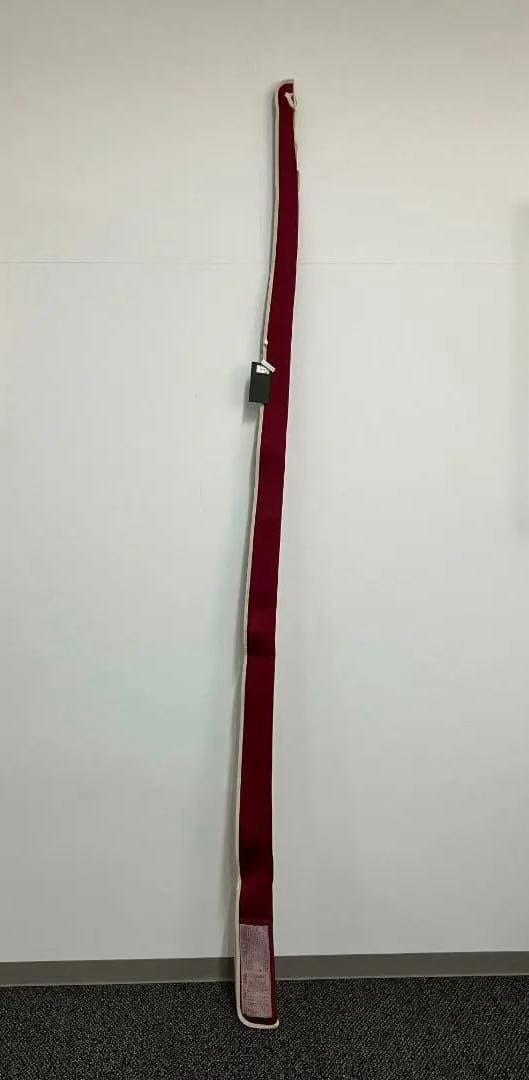 【新品未使用】メガバス デストロイヤー P5 F3.1/2-72XS 釣り竿