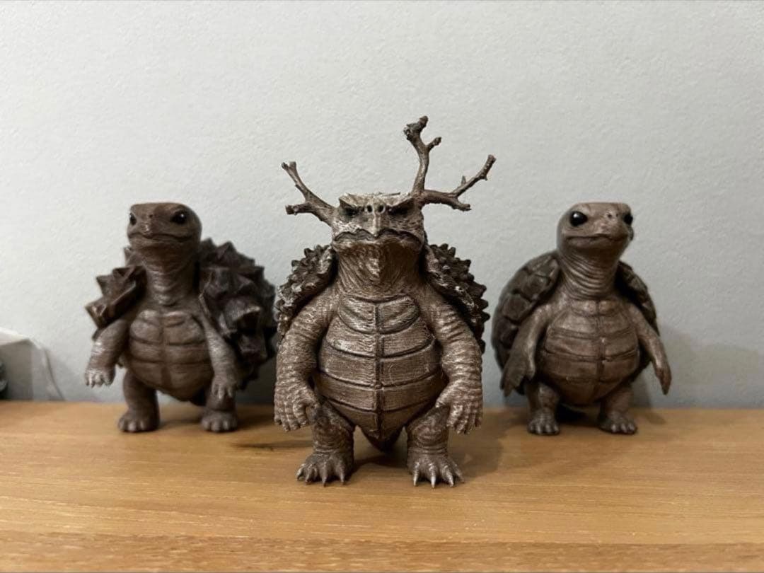 亀甲竜 【アフリカ メキシコ】 パキプス亀　プロモーション用