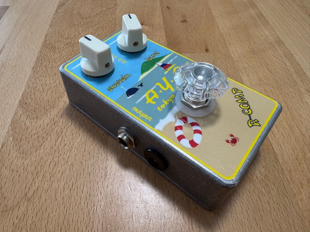 【美品】A.Y.A Tokyo R-Comp 2025年3月購入品