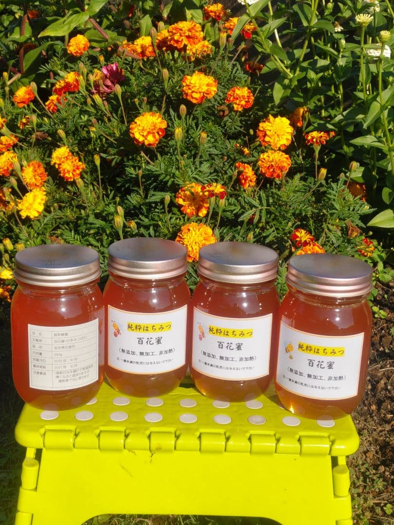 純粋はちみつ　百花蜜（１年熟成物）　550ｇ✕4本（2.2kg）