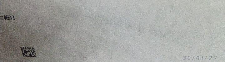 【新品未使用品】ロイヤルカナン　ミニインドアパピー　10kg