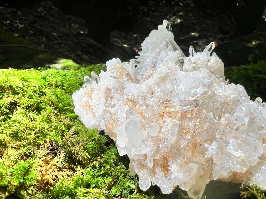 龍脈の精髄 クラスター 導きを結ぶ調和の結晶 売上一部保護猫活動に使用