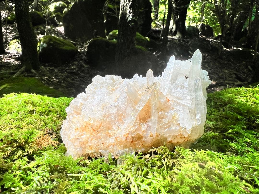 龍脈の精髄 クラスター 導きを結ぶ調和の結晶 売上一部保護猫活動に使用