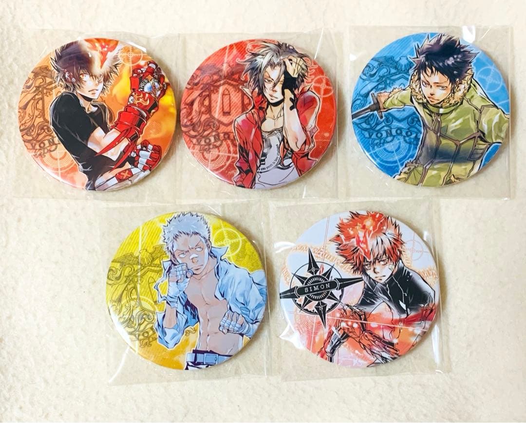 REBORN リボーン バッジ 天野明 綱吉 獄寺 山本 了平