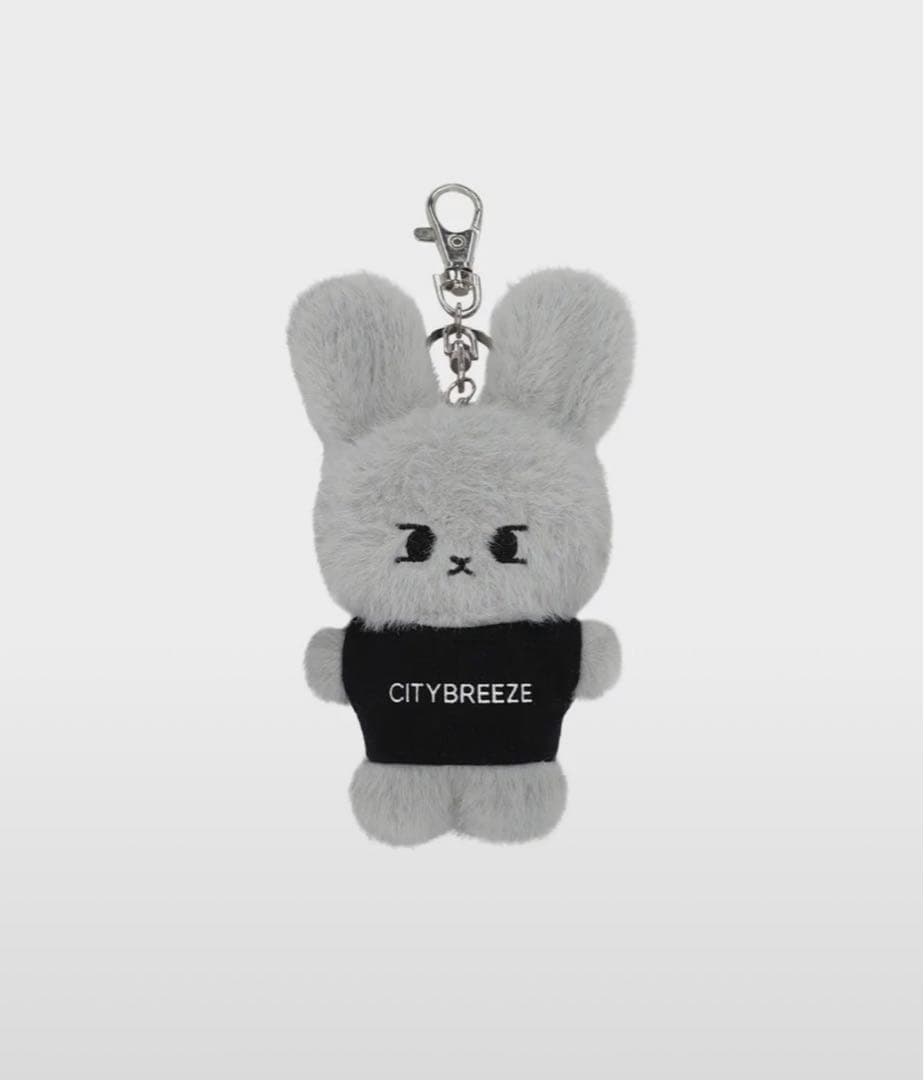 CITYBREEZE NCT イリチル ドヨン キーリング