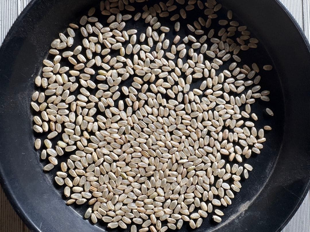 令和7年　埼玉県産　彩のきずな　白米10キロ